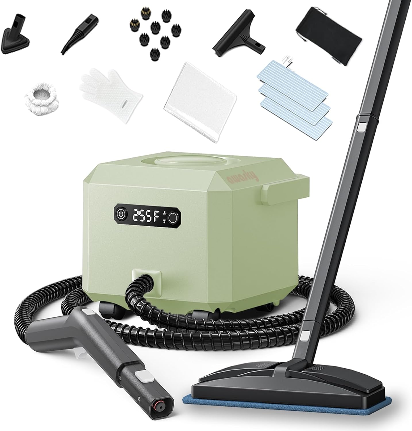 awasky Steam Cleaner: 1650W, Fast 50-Sec Heat-Up-21-Piece Kit Refill Anytime-No Cooling-Detachable Hose Steamer Mop for Home Use Car Bed Furniture Bathroom Tile Grout Floor Cleaning And More Green