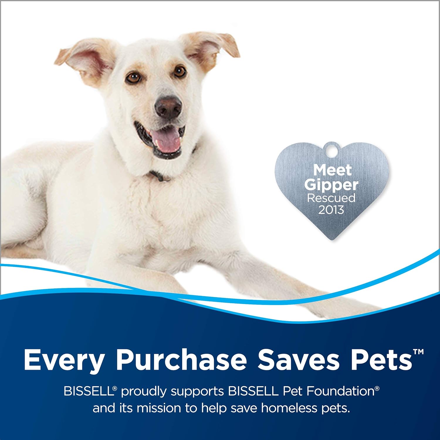 BiSSEll Little Green Pro Commercial Spot Cleaner BGSS1481 & Bissell 78H63 Deep Clean Pro 4X Deep Cleaning Concentrated Carpet Shampoo, 48 Ounces - Silver