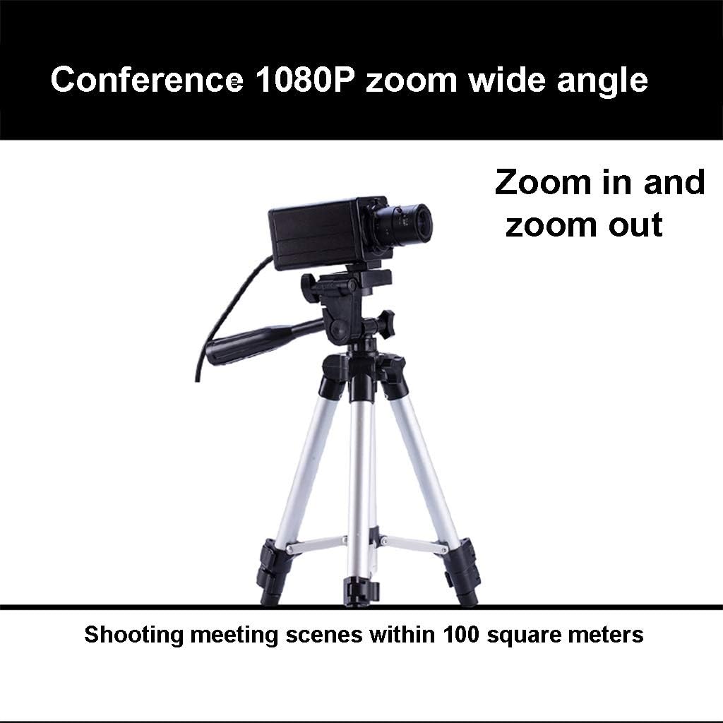 1080P Webcam for Laptop Desktop, Webcam with Microphone, Computer Video Camera Webcam Compatible with Windows OS Systems (Color : 1080P, Size : B)