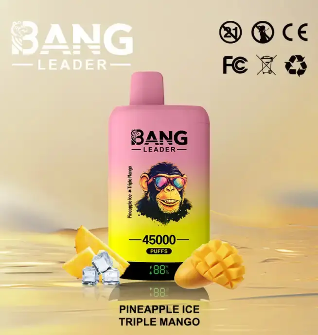 BANG LEADER 45K (10pcs) - MYEU VAPES