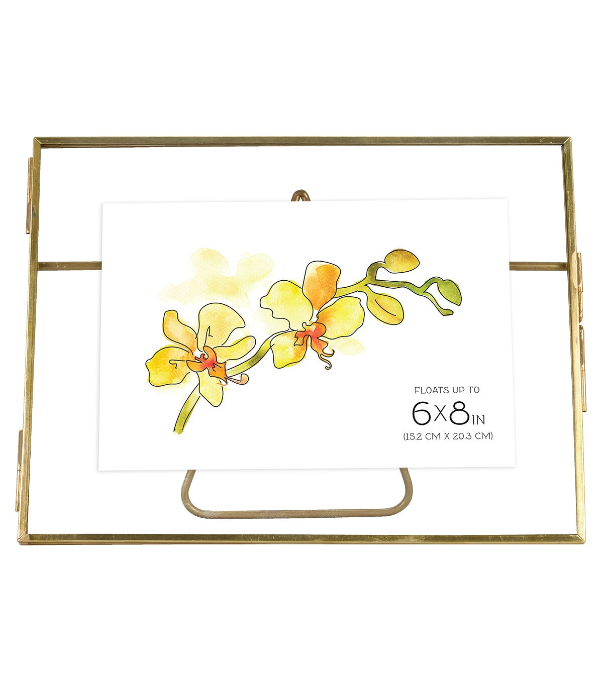 MCS 8 x 6 Brass Pressed Glass Floating Frame