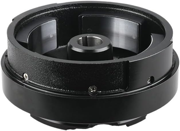 JeeYe Rotor Assembly Compatible with Outboard Engine 9.9HP 2T 15HP Boat Parts 6B4-85550 6B4-85550-01