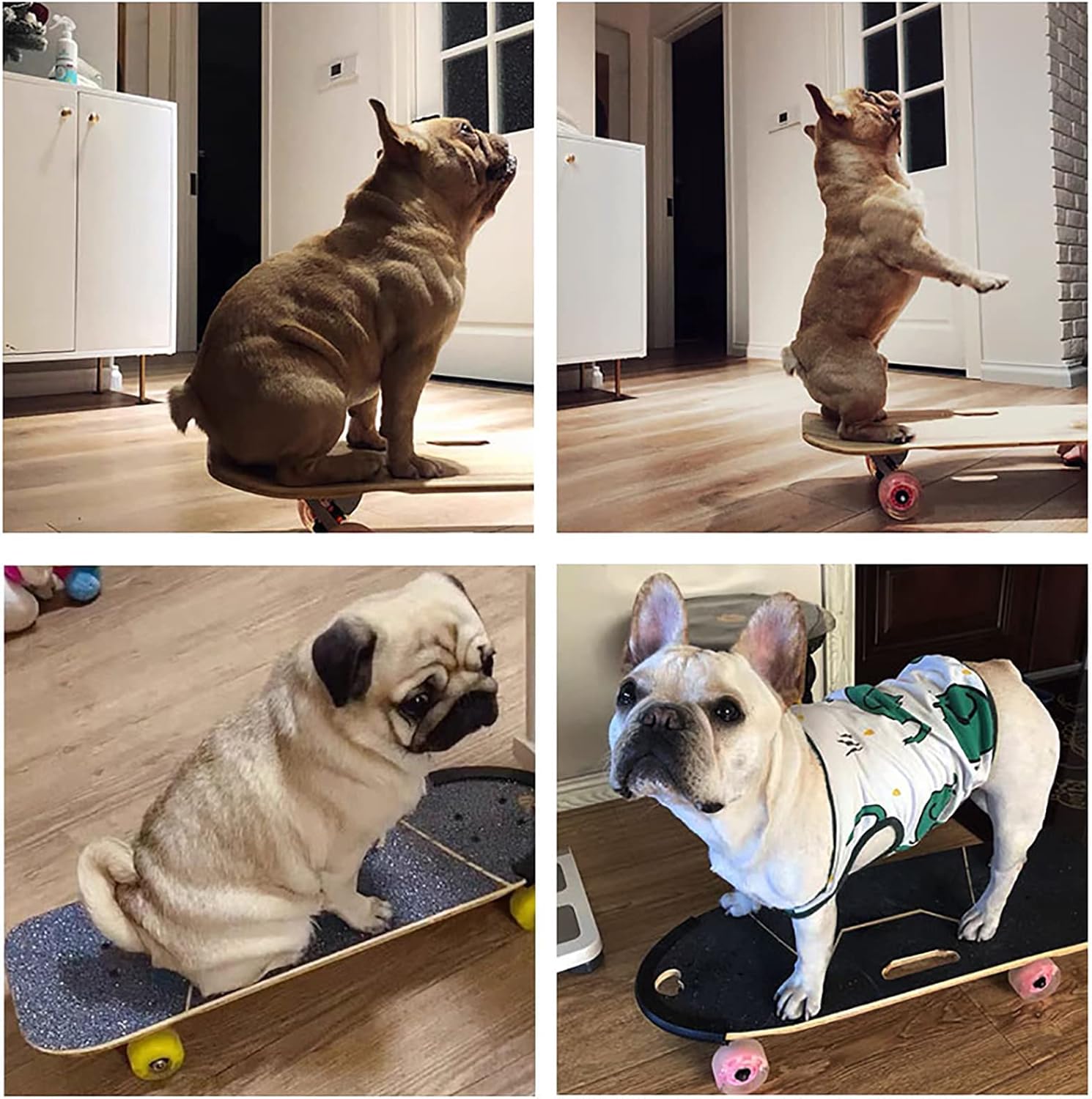 Pet Skateboard with Surf Stand Dogs Skateboard with Colorful PU Wheels for English-French Bulldog (62X21cm)