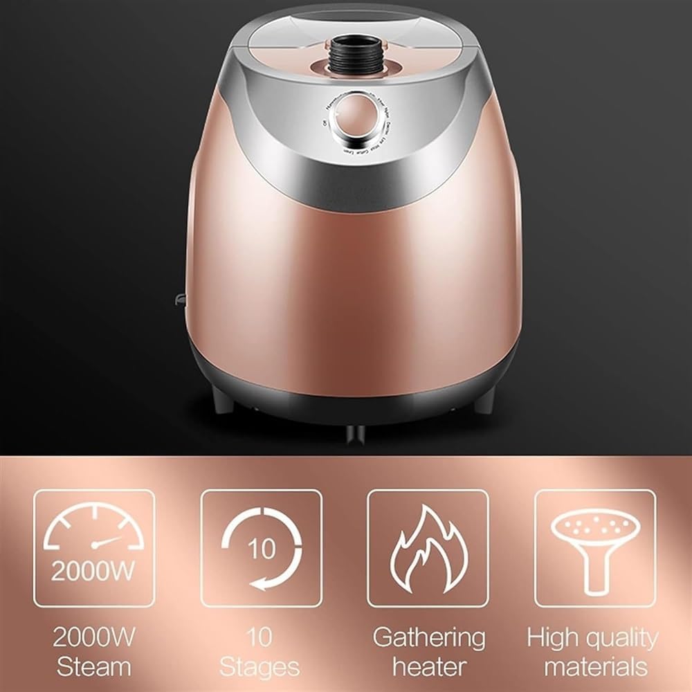 UMJIGF Professional Vertical Garment Steamer 2100W Heavy Duty Clothes Steamer, Steam Press Iron Handheld Clothes Steam Iron with 2.5L Water Tank Quick Wrinkle Removal,