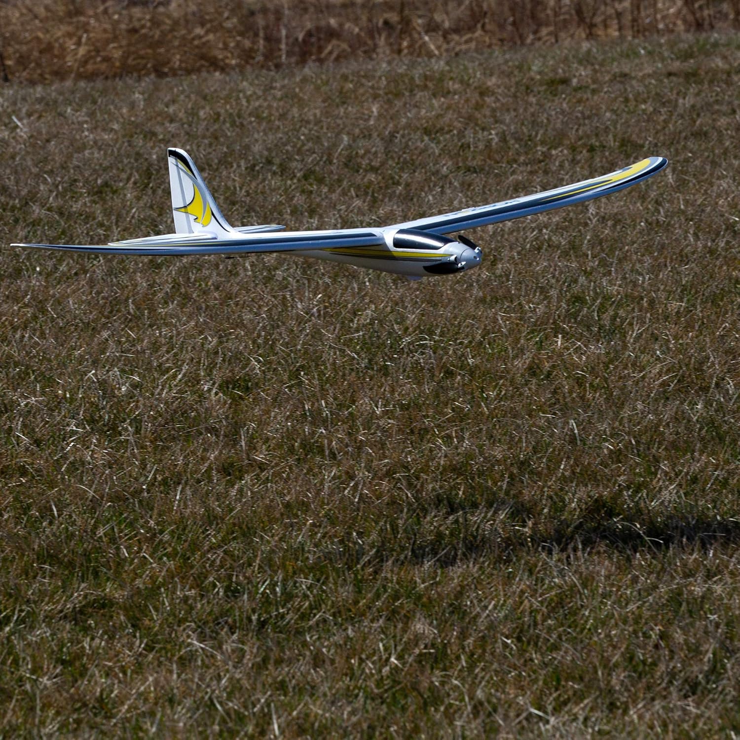 E-flite RC Airplane Conscendo Evolution 1.5m BNF Basic Transmitter Battery and Charger Not Included with Safe Select EFL01650