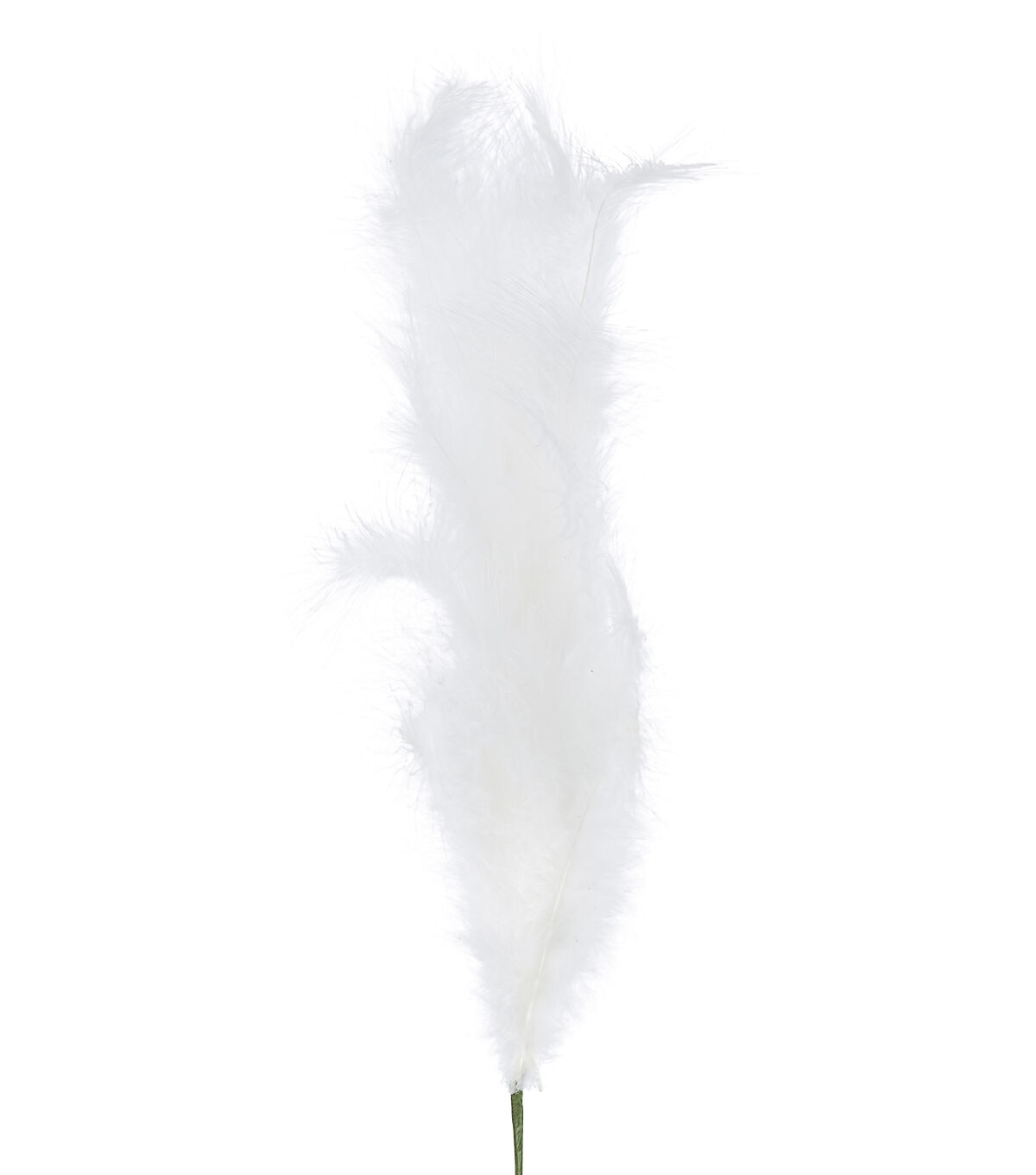 27 White Feather Stem by Bloom Room