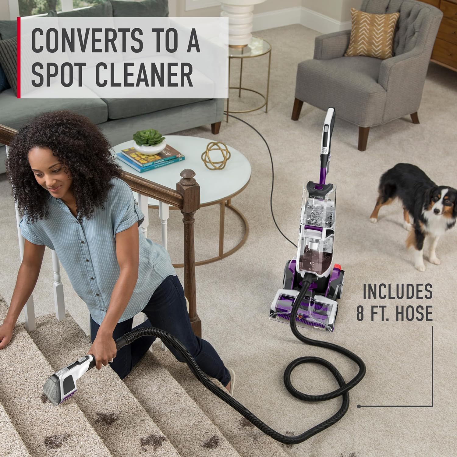 Hoover SmartWash Pet Automatic Carpet Cleaner Machine, with Spot Chaser Stain Remover Wand + 64 oz Everyday Carpet Cleaner Solution, Deep Cleaning Carpet Shampoo, AH31924