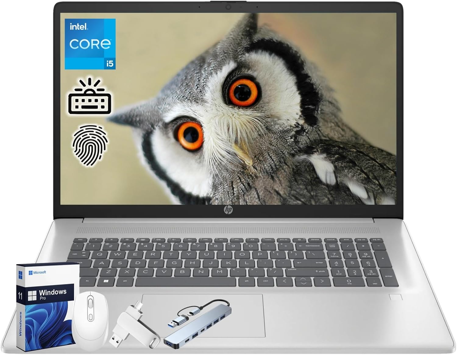 HP 17 inch Business Laptop, Intel 13th Gen i5-1334U(Beat i7), 17.3