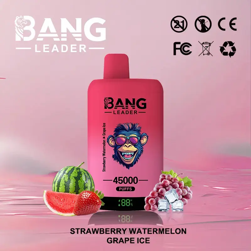 BANG LEADER 45K (10pcs) - MYEU VAPES