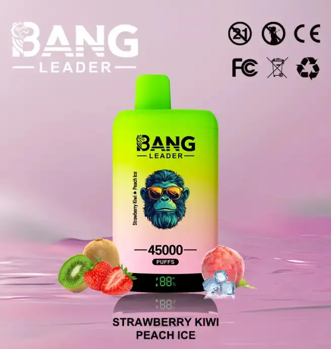 BANG LEADER 45K (10pcs) - MYEU VAPES