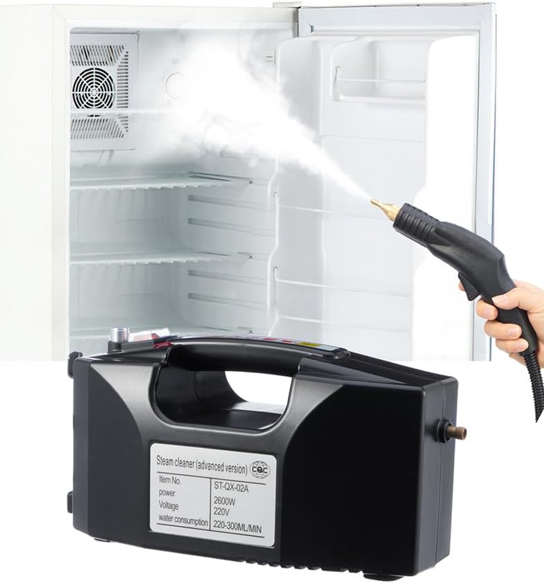 Shoe Cleaner Car Cleaning Machine High Pressure Steam Cleaner (Black)