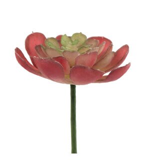 Flora Bunda 12ct Artificial Pink Echeveria Succulent Plants