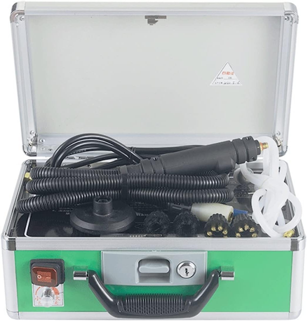 Lifyn2 Steam Cleaning High Temperature and High Pressure Steam Cleaner, Kitchen Range Hood, Air Conditioner, Household Appliance, Cleaning Tool and Equipment