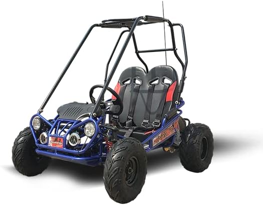Trailmaster Mini XRX/R+ Go Kart with Reverse Top of The line. Age up to 10 Years Old Pedals and Seats Adjust (Blue)