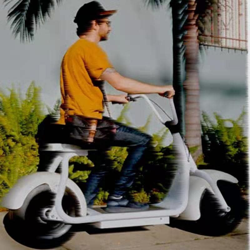 ZOOMERS Electric Motorcycle for Adults, 60V 20ah Lithium Battery, Oil PressureDisc, One seatDisplay, LED Mudguard, F/R Mudguard, Electric Scooter Dual Hydraulic Disc Brake Full Suspension