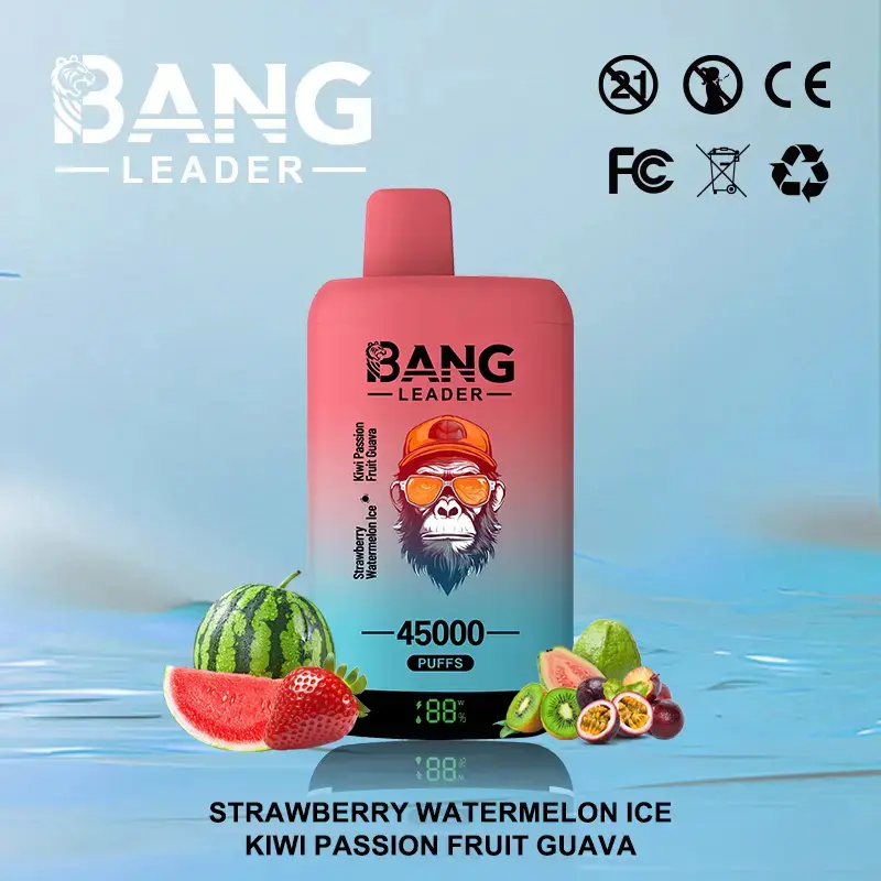 BANG LEADER 45K (10pcs) - MYEU VAPES