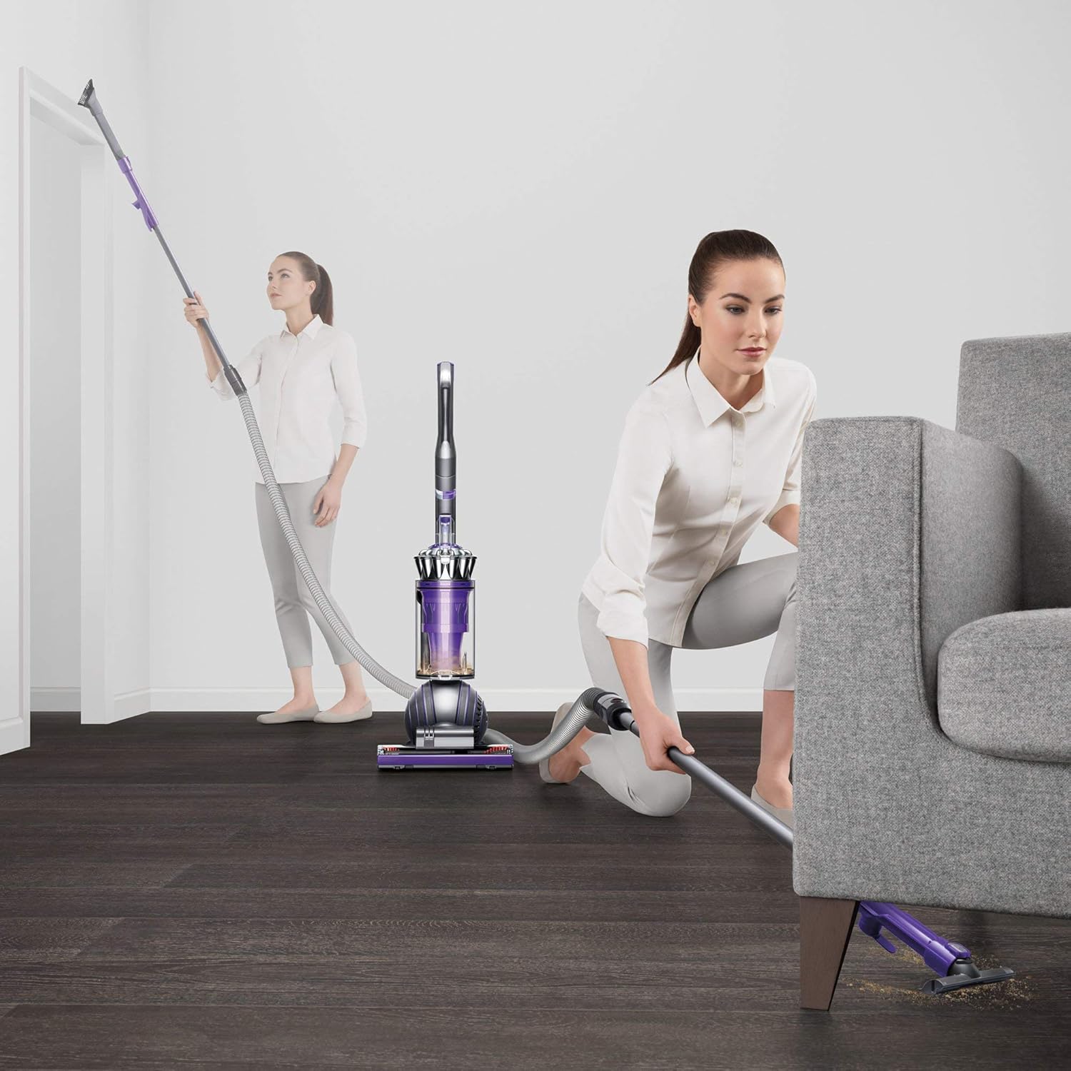 Dyson Ball Animal 2 Upright Vacuum, Iron/Purple (Renewed)
