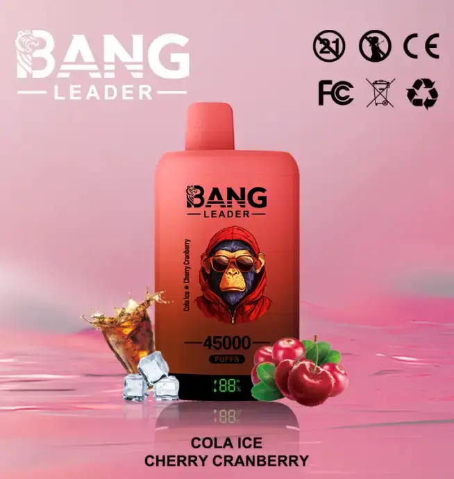 BANG LEADER 45K (10pcs) - MYEU VAPES