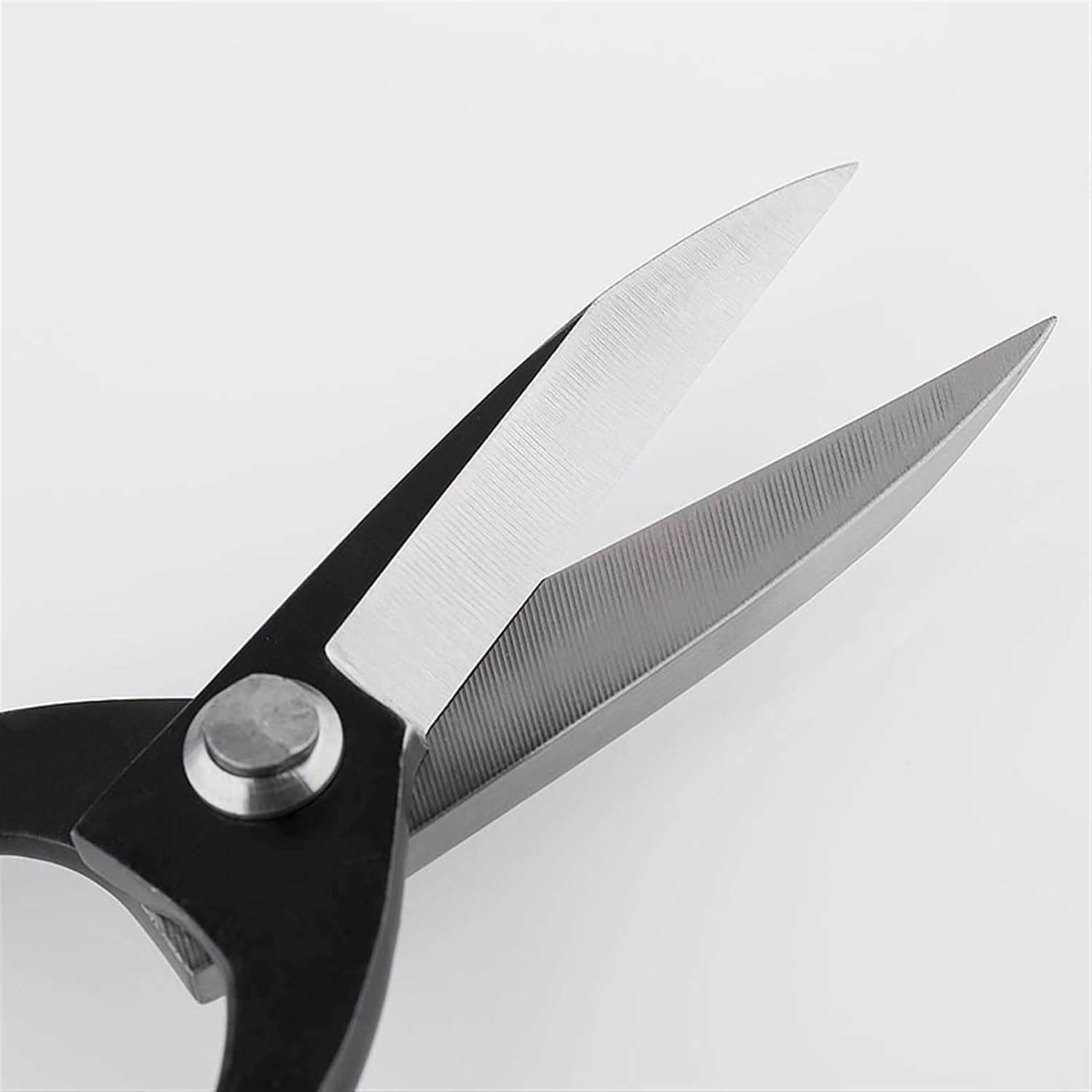 Floral Shears Strong Pruner 190 mm Root Pruning Scissors Standard Quality Level Carbon Steel Bonsai Tools Made by TianBonsai Company