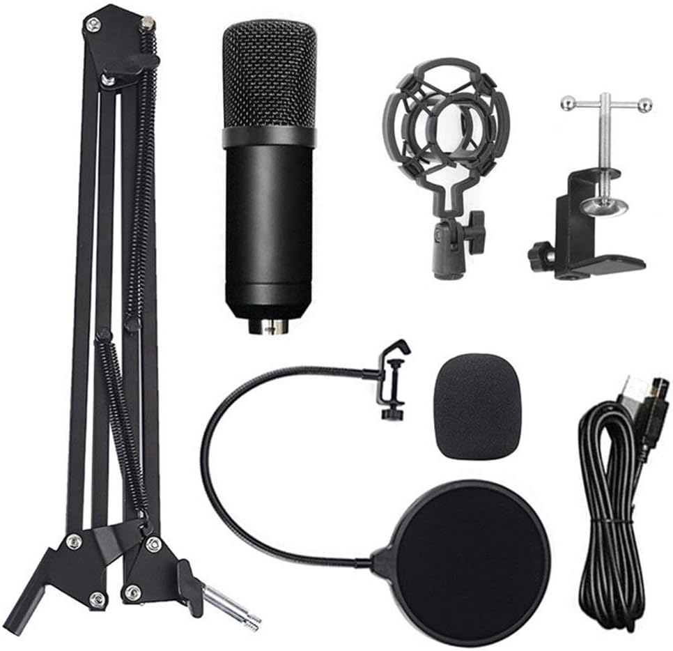 Condenser Microphone Computer USB Port Studio Microphone for pc Sound Card Professional Microphones DJ Live Recording