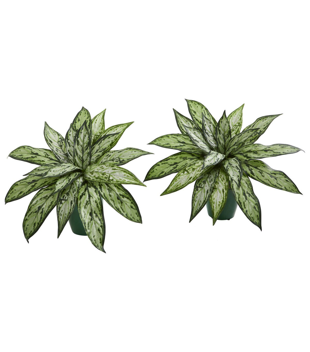 Nearly Natural 8 Silver Queen Artificial Plant in Green Planter 2ct