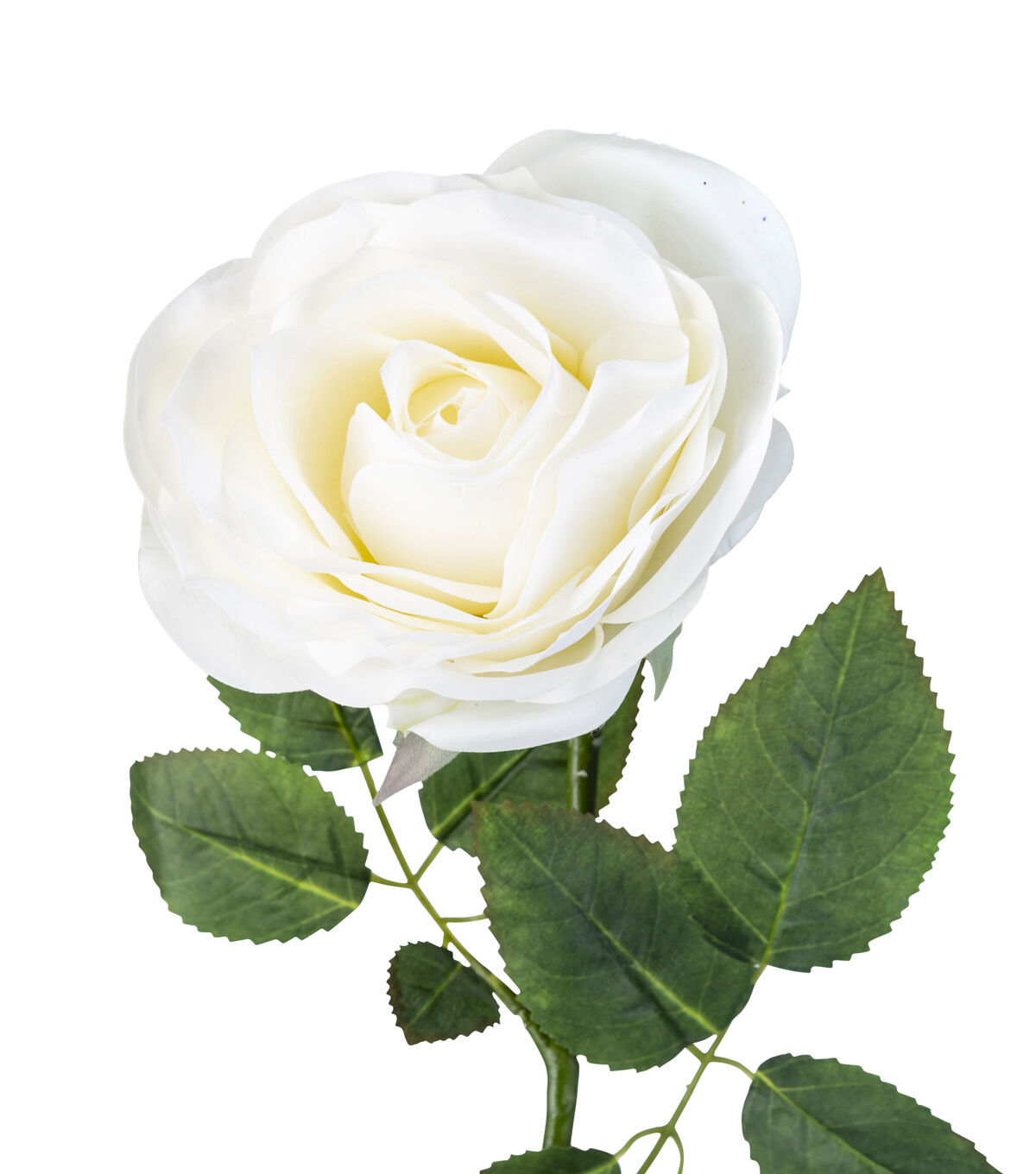 30.5 Cream Real Touch Rose Stem by Bloom Room