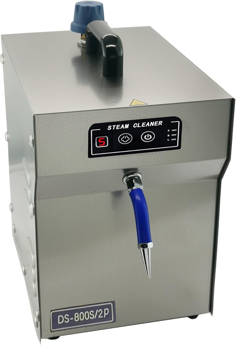 TDR Jacky AC 110V Professional Steam Cleaner Adjustable 1200W For Jewerly Watches Stainless Steel 2L For Commercial Use