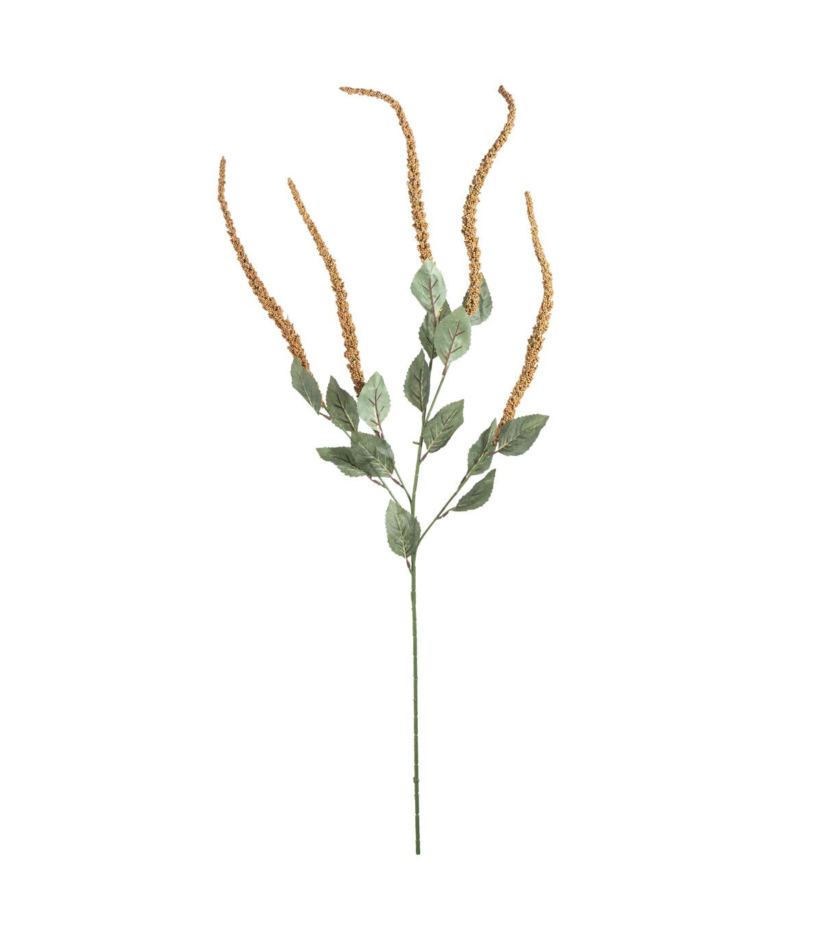 30 Toast Amaranthus Stem by Bloom Room