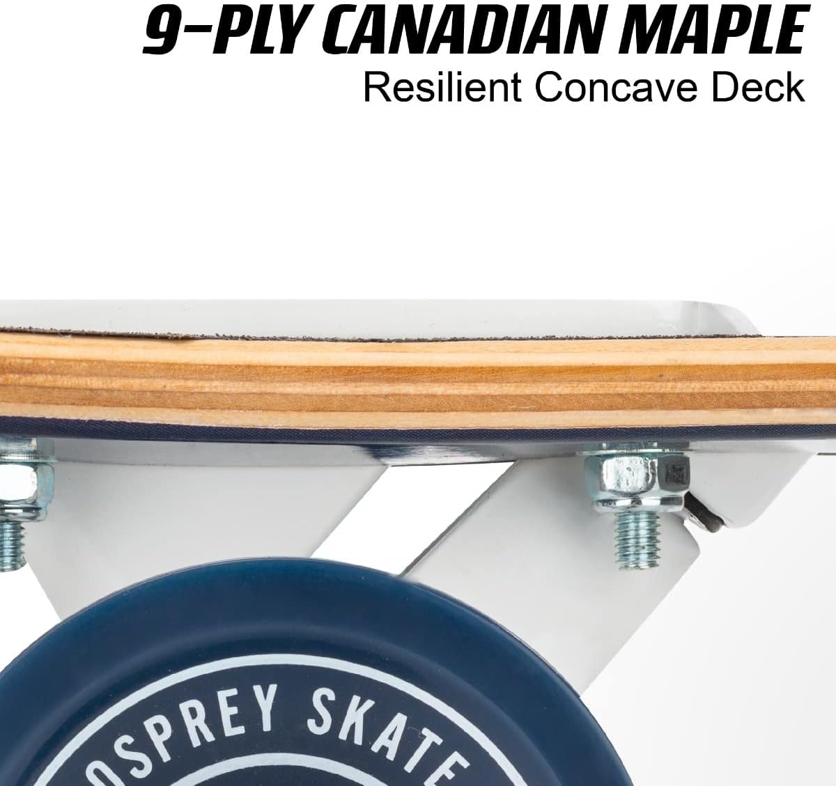 Osprey Twin Tip Longboard 39 inch Canadian Maple Deck, Complete Skateboard, for Adults, Kids and Beginners, Multiple Colours