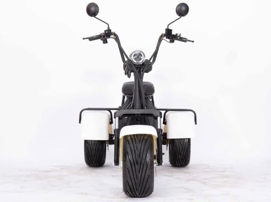 CT-3 Electric Tricycle Scooter, Three Wheel Design with Rear Cargo Rack