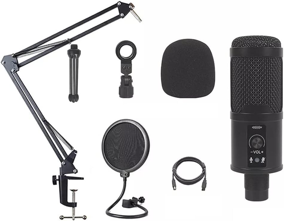 Professional Recording Studio USB Microphone Singing Computer Recording Condenser Microphone (Type 2 One Size)