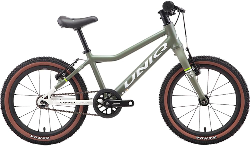 Children Mountain Bike RA16 16 Inch Kids Bicycle with Carbon Fork & Al Frame for Boys Girls Beginner Level Riders Ages 4-8 Years, Single Speed with Adjustable Seat