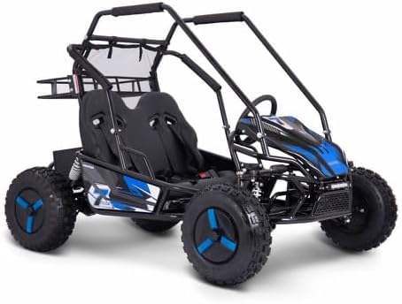 Tao/Apollo/GK014 Electric Go Kart, Black and Blue, Off-Road Youth Racing Vehicle 2500 Watt
