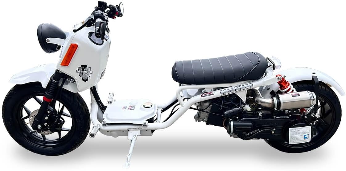 150CC ICEBEAR Stretched Scooter Generation 5 Scooter GEN V The Newest Generation, Ruckus Style Lightweight and Agile, Digital Speedometer, and a Leisure Ride PMZ150-22 Street Legal