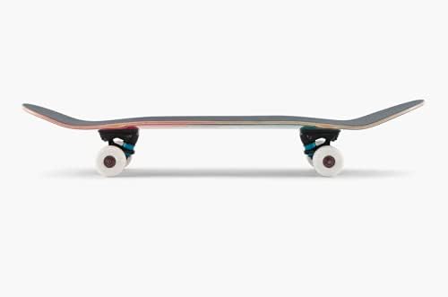Universo Brands, Landyachtz - ATV Perfecto Raccoon Complete Skateboard - 9.02x32