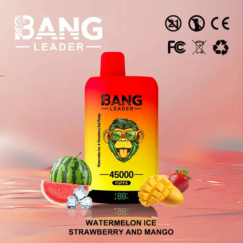 BANG LEADER 45K (10pcs) - MYEU VAPES