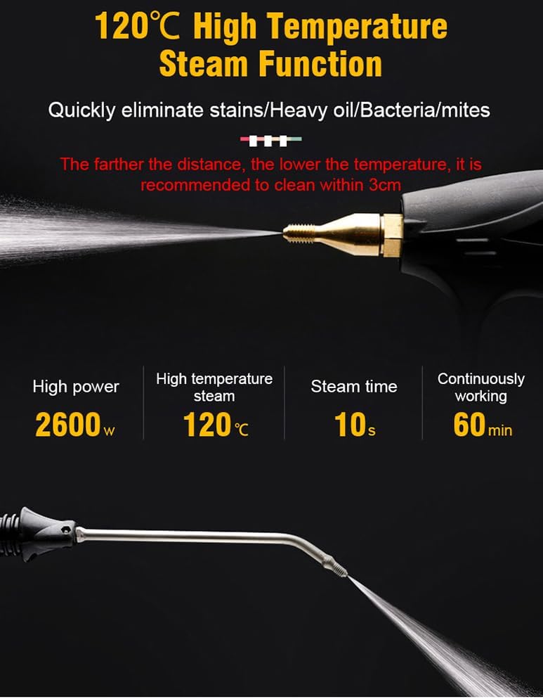 Home Appliances Steam Cleaner High Temperature Air Conditioning Kitchen Hood Car Steam Cleaners (Black)