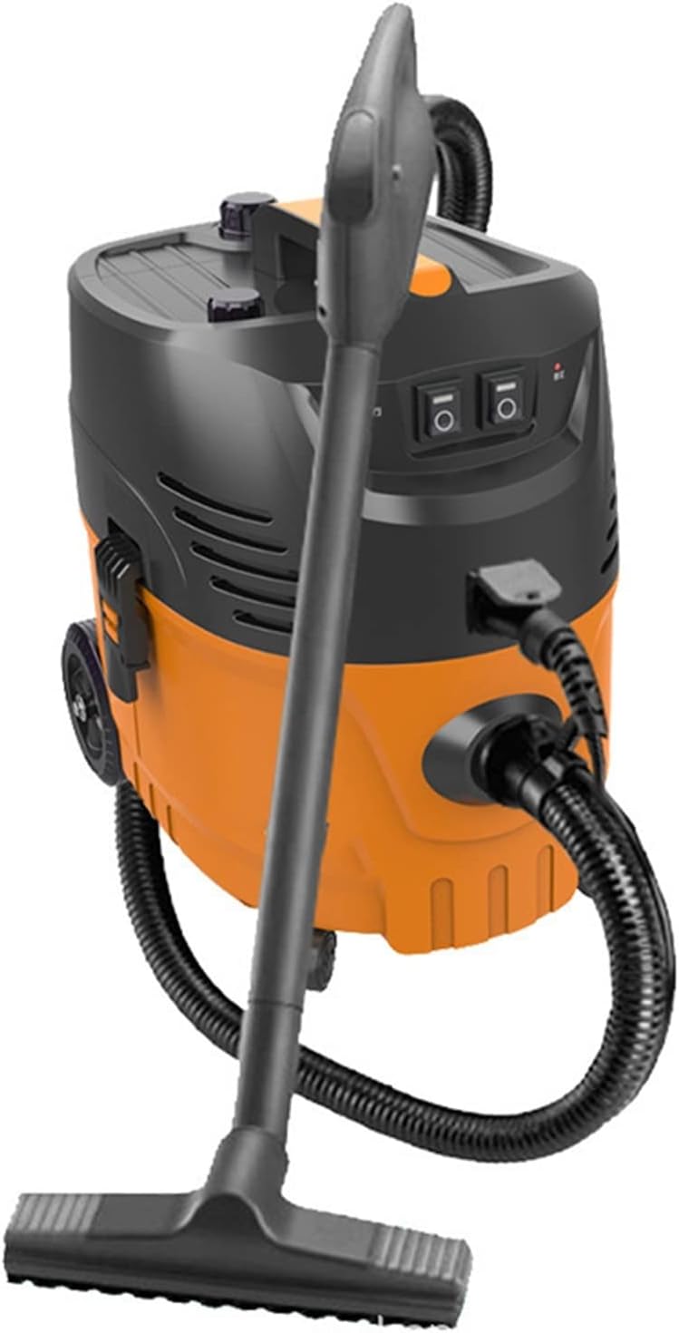 Lifyn2 Steam Cleaning High Temperature Multifunctional Steam Cleaner, High Pressure Cleaning Vehicle Air Conditioner Fumigating Formaldehyde Steam Vacuum Cleaner