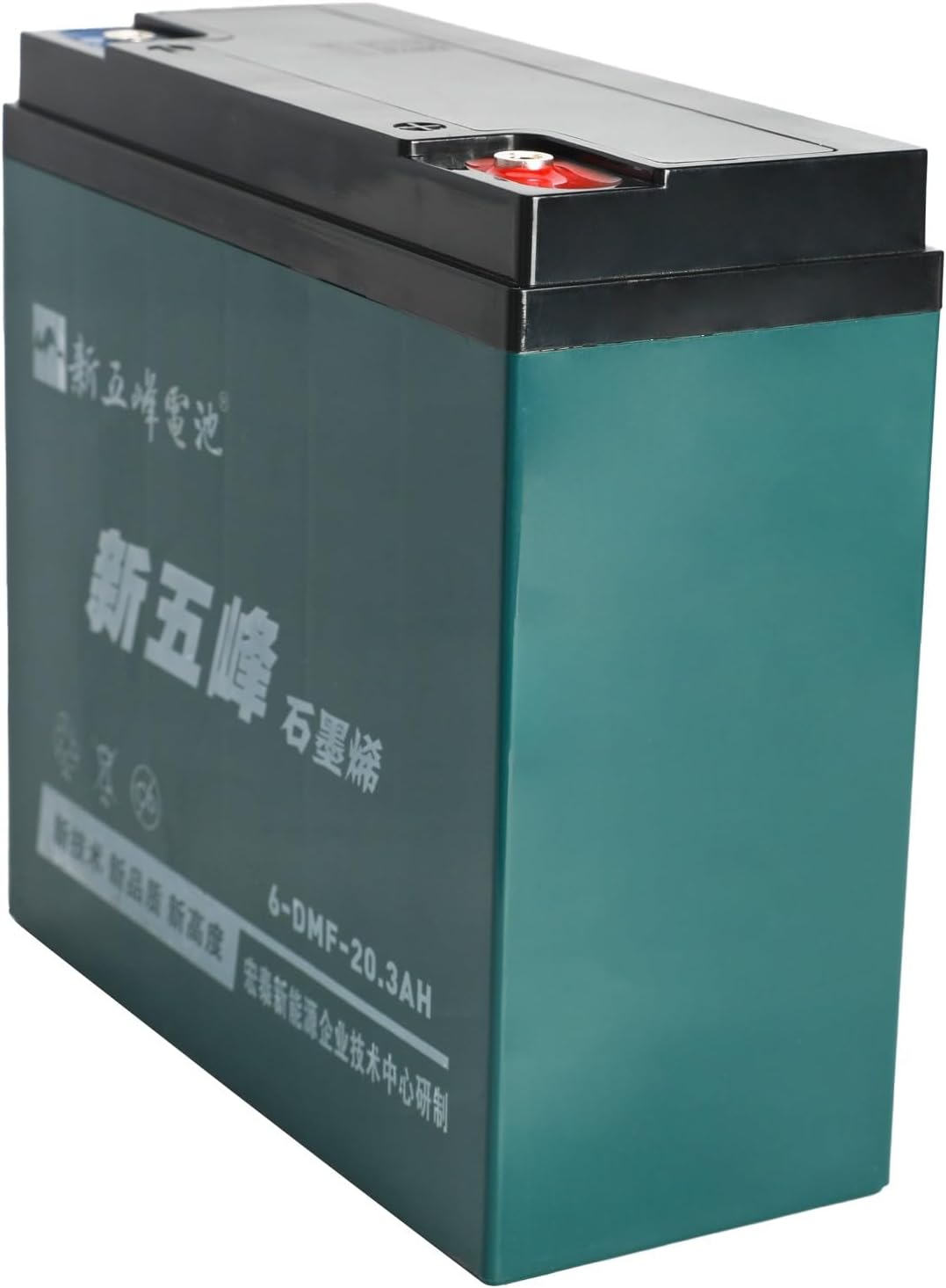 6 Pack 6-DMF-20 12V 20Ah Sealed Lead Acid Rechargeable Battery + Battery Box + 72V Battery ch for Electric Bikes, Scooters, Go Karts, ATVs, and Dirt Bikes - Maintenance-Free, Ready to Use