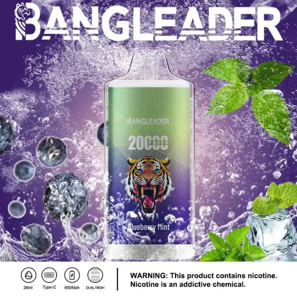 BANG LEADER 20K (10pcs) - MYEU VAPES