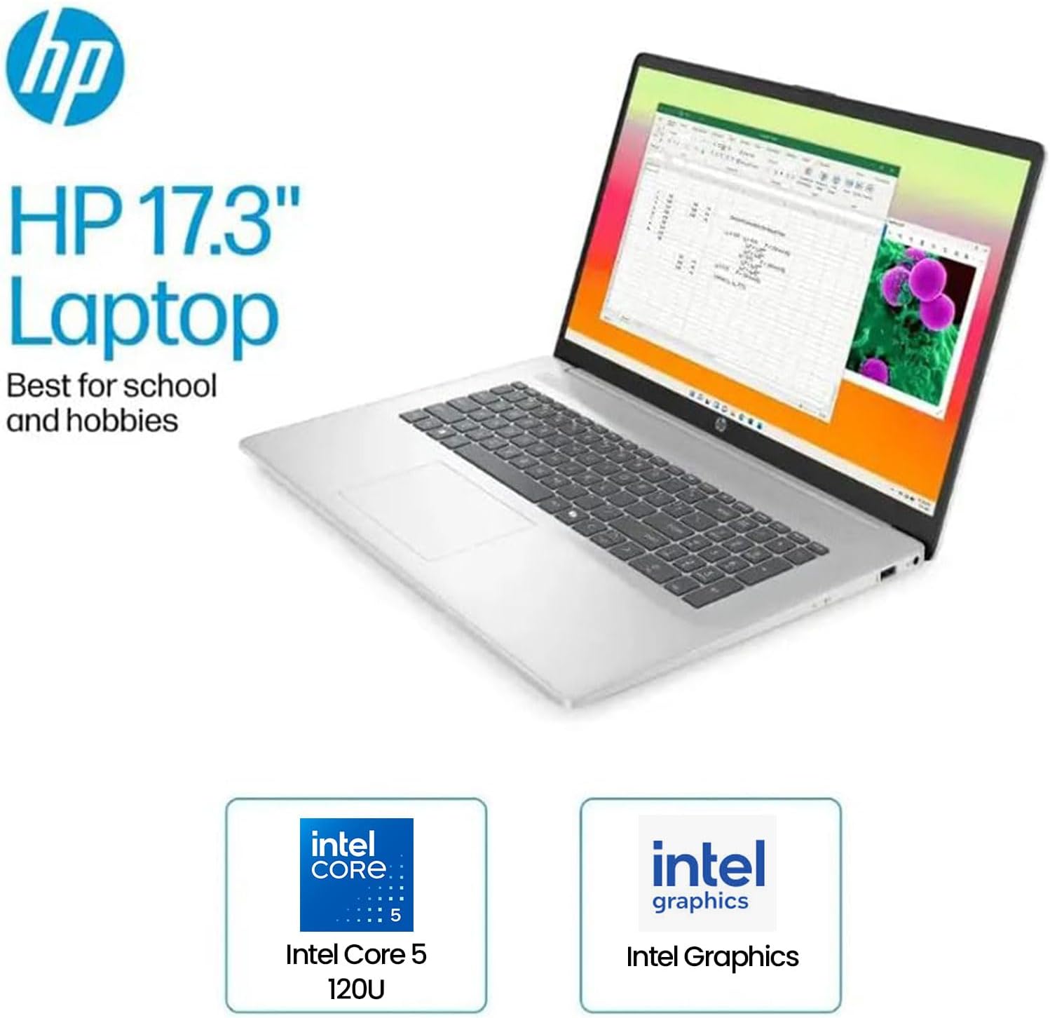 HP 17.3