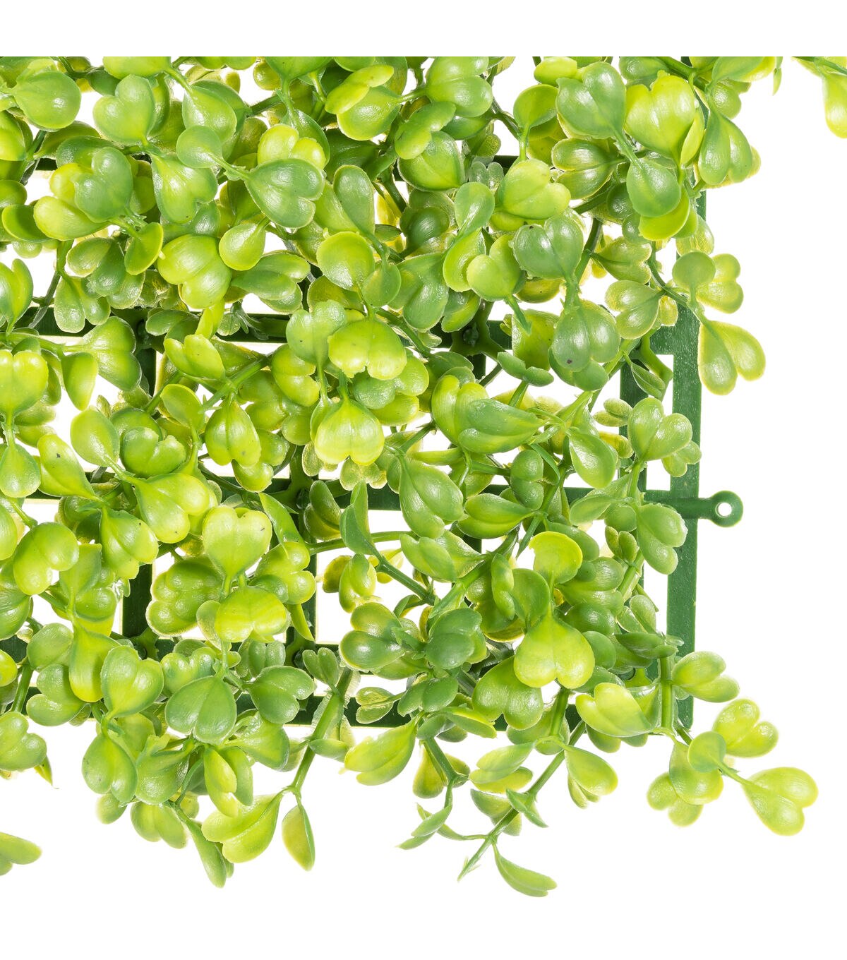 10 x 10 Boxwood Floral Tile by Bloom Room