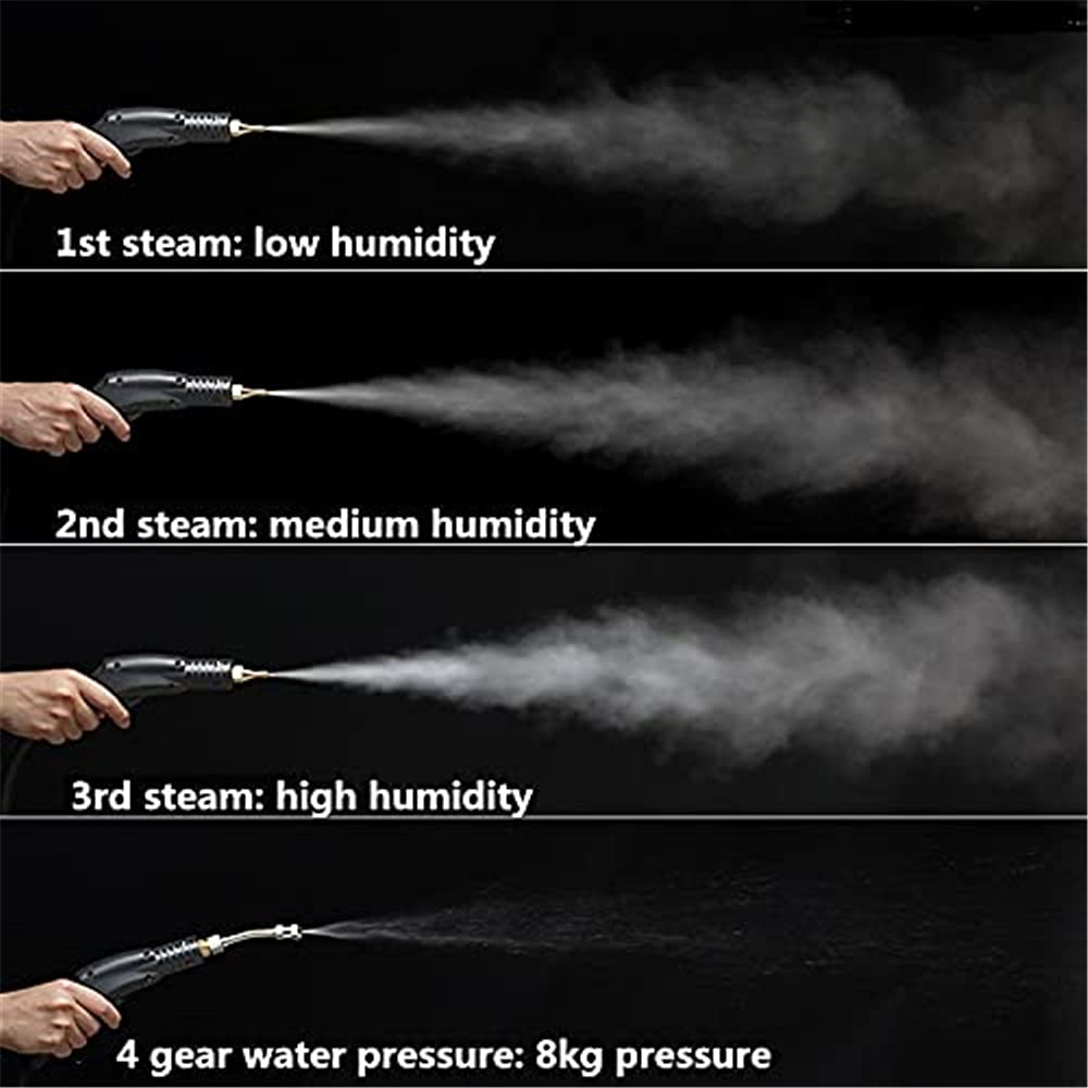 110V 220V Commercial Household 3KW Steam Cleaner Air Conditioning Kitchen Hood Car Steaming Cleaner Used with Alkaline Cleaning