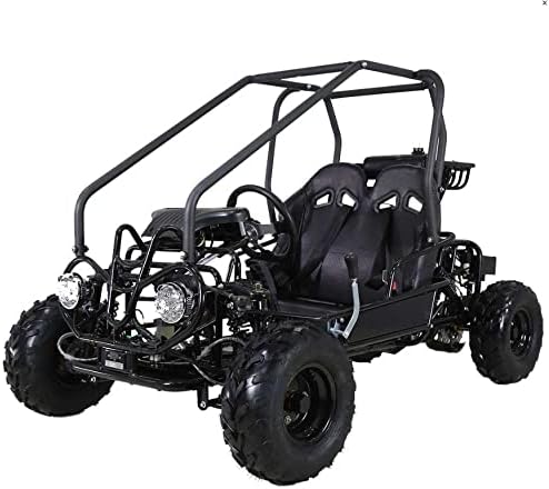 HHH Gokart 125cc go Kart Kandi Raptor 125cc Gokart Fully Automatic LED Lights and Reverse Youth Kids 2 Seater Gokart (Black)