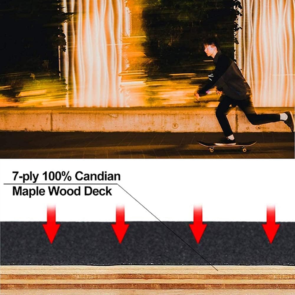 Skateboards for Beginners 31 x 8 inch Complete Skateboard for Kids Teens and Adults 7 Layer Canadian Maple Double Kick Deck Concave Cruiser Trick Skateboard (E)