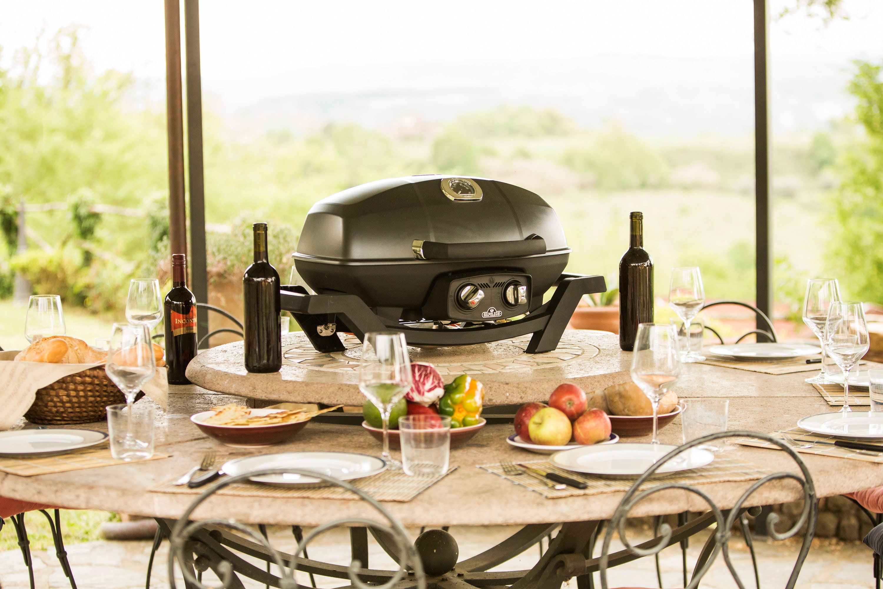 NAPOLEON TravelQ PRO 285 285-Sq. in Black Portable Natural gas Grill