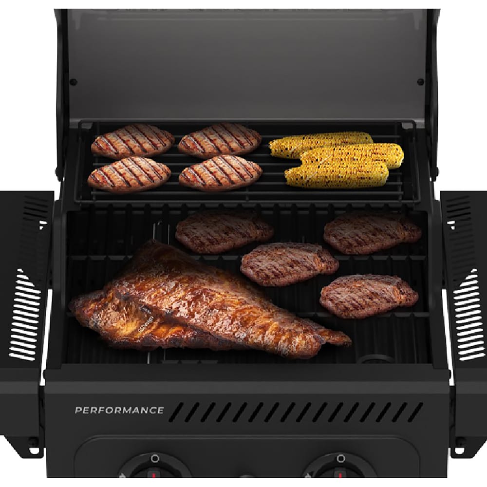 Charbroil Performance Series Black 2 -Burner Liquid Propane Gas Grill