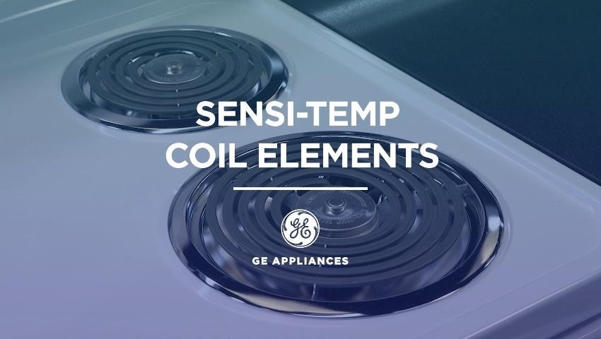 GE 30-in 4 burners 5.0-cu ft Freestanding Electric Range ( Black )