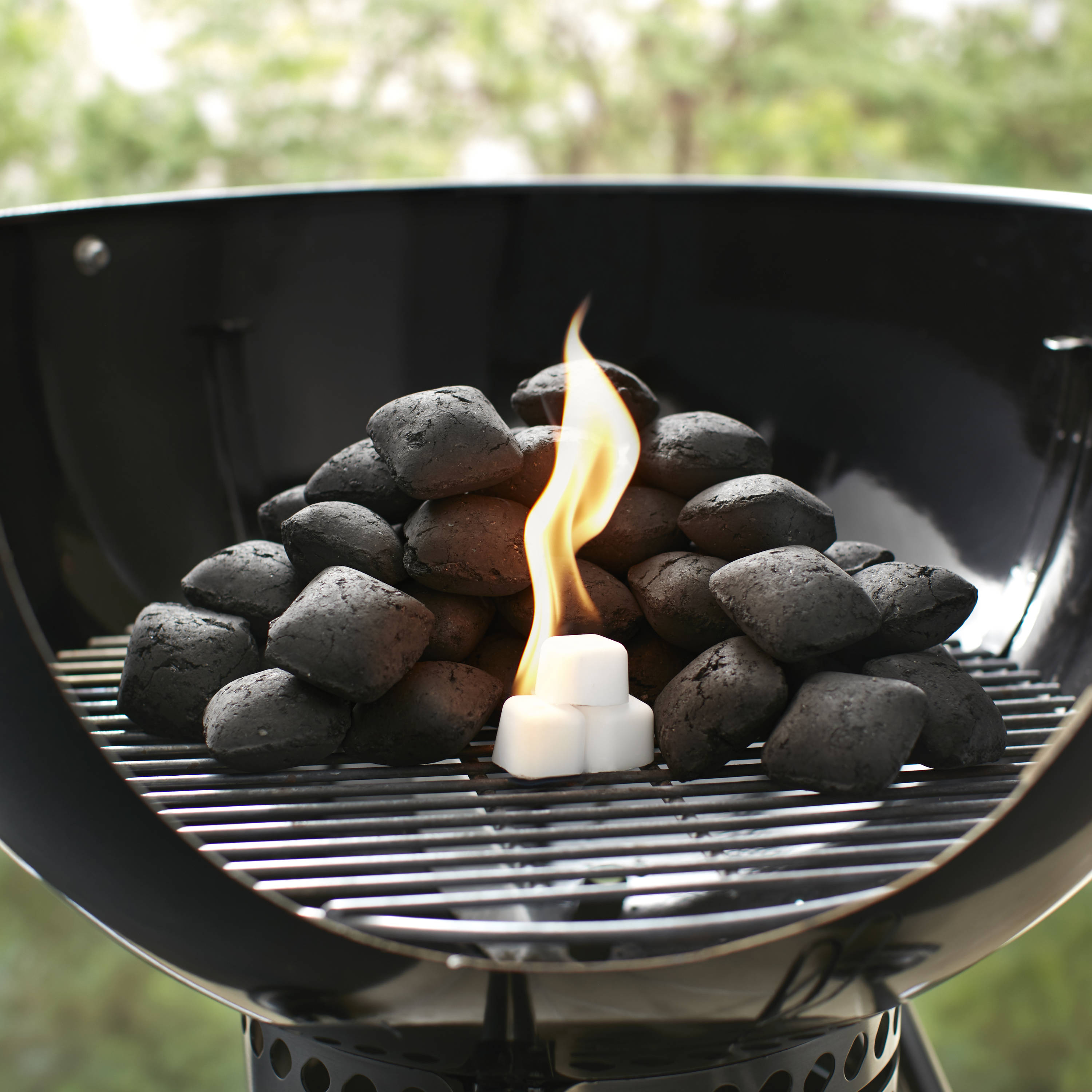 Weber 12 -Pack Count Starter