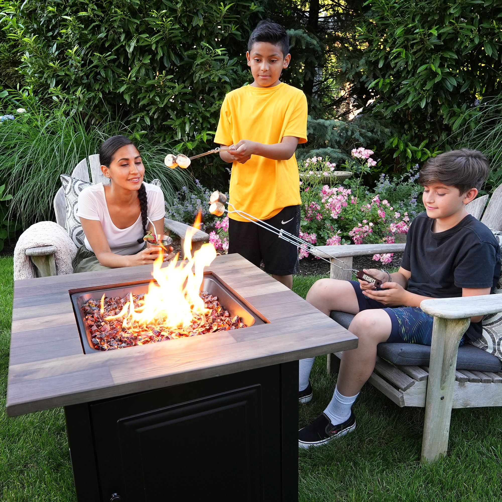 Hershey's S'mores 2 -Piece Stainless steel 2-Prong Fork